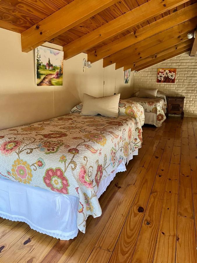 El Colibri Cabanas De La Naturaleza Trelew Exteriér fotografie