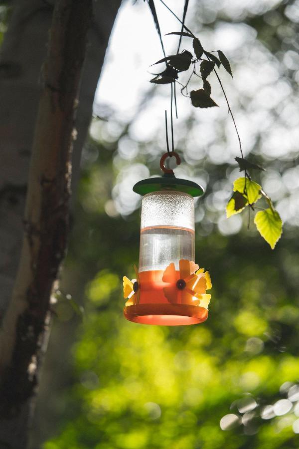 El Colibri Cabanas De La Naturaleza Trelew Exteriér fotografie