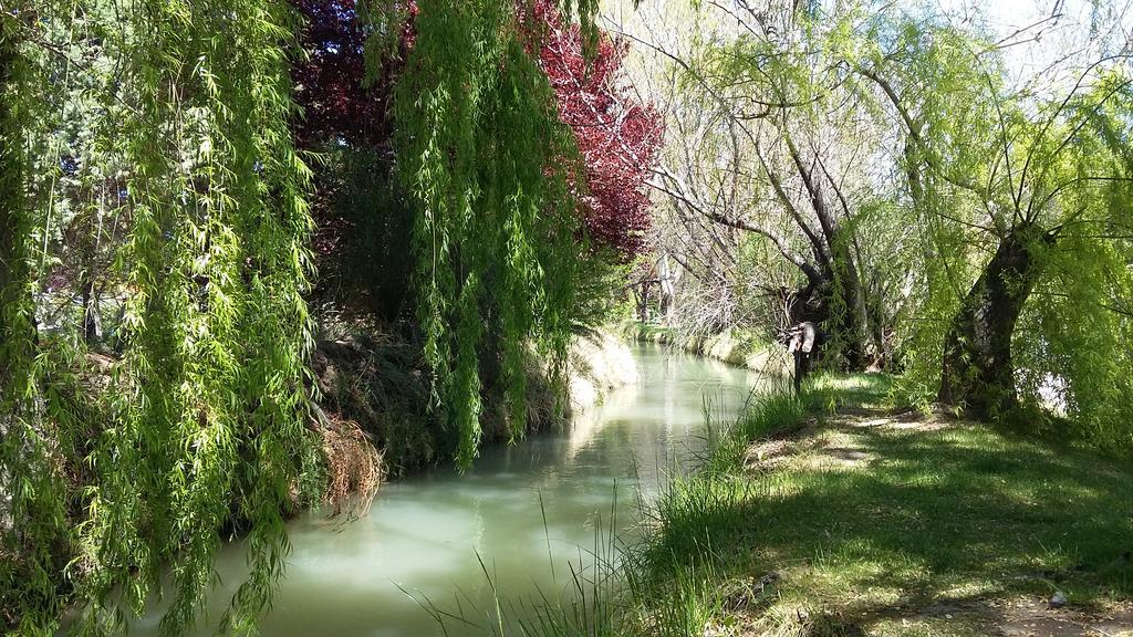 El Colibri Cabanas De La Naturaleza Trelew Exteriér fotografie